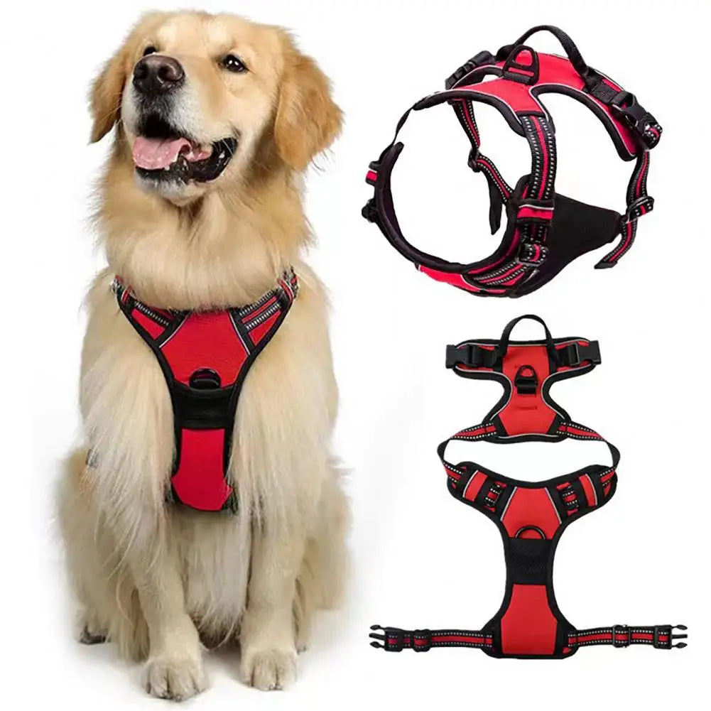 Harnais confort anti-traction avec laisse - chien