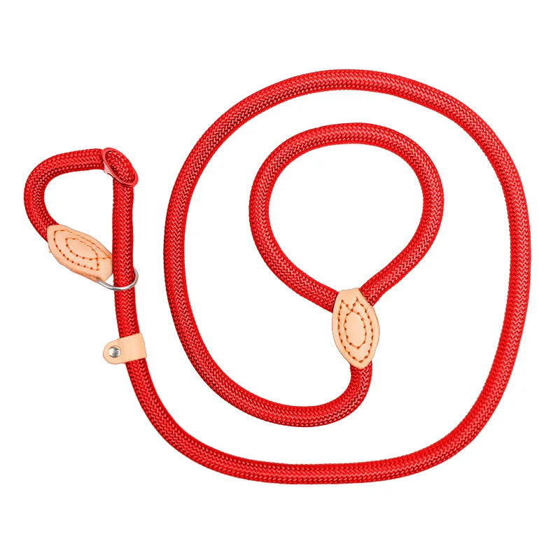 Laisse corde avec collier coulissant réglable pour chien