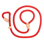 Laisse corde avec collier coulissant réglable pour chien