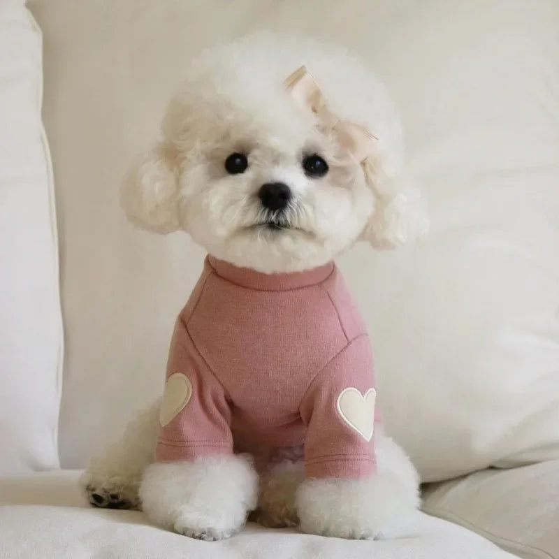 Pull chaud - chien ou chat