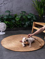 Tapis en Rotin pour Chat