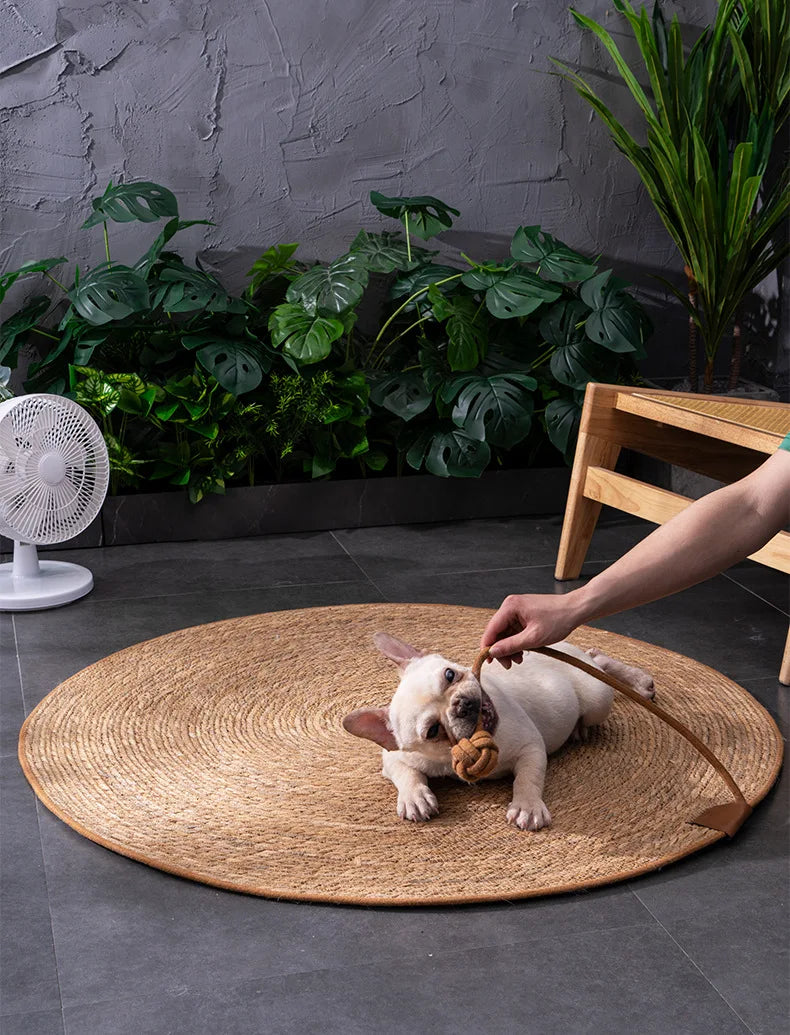 Tapis en Rotin pour Chat