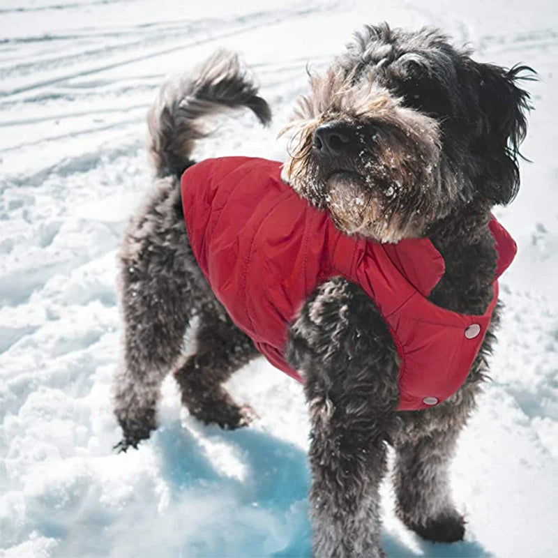 Veste d’Hiver Polaire pour Chien et Chat