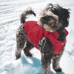 Veste d’Hiver Polaire pour Chien et Chat