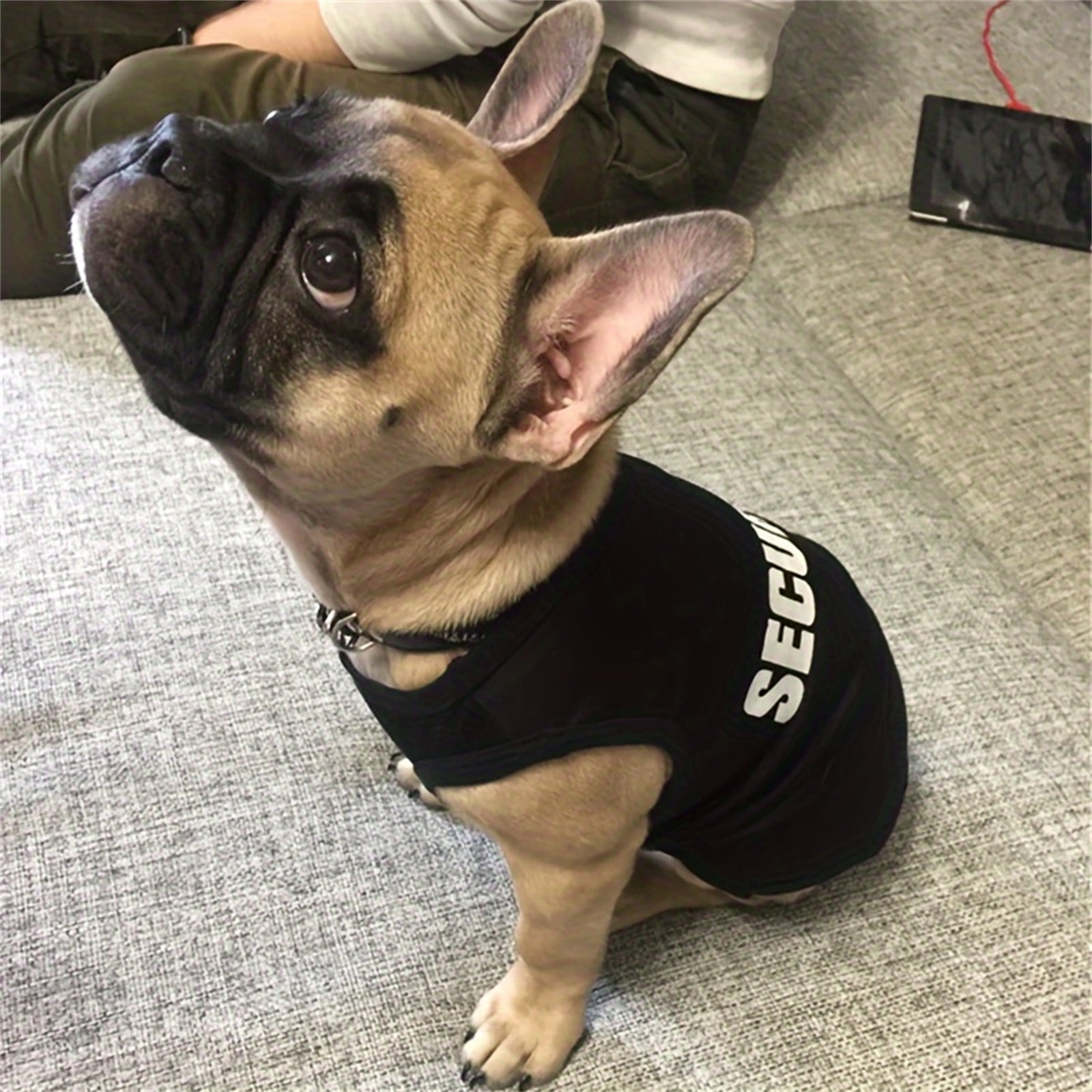 T-shirt Security pour chien et chat