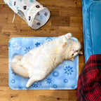 Tapis rafraîchissant à remplir d'eau - chien & chat