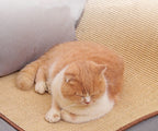Tapis griffoir en sisal pour chat et protection canapé