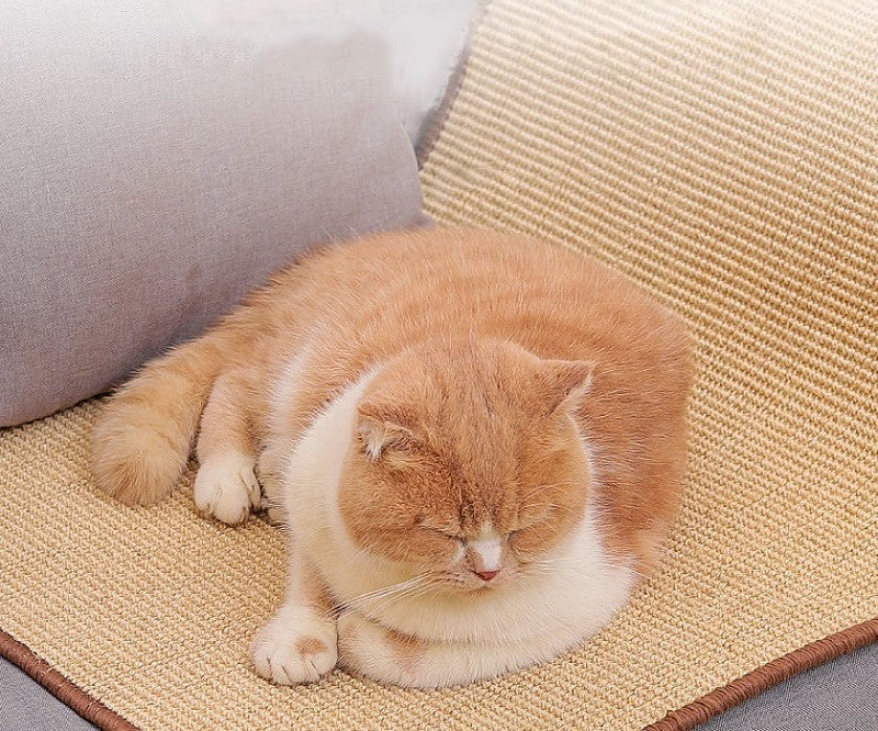 Tapis griffoir en sisal pour chat et protection canapé
