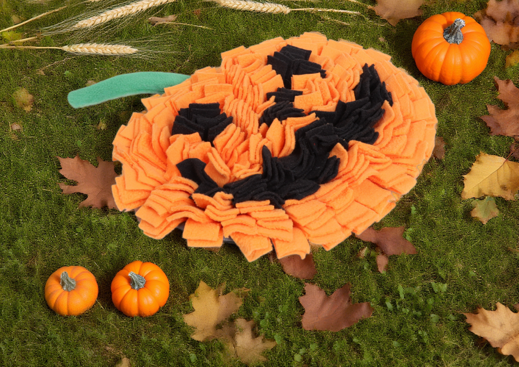 Tapis de fouille Halloween - chien