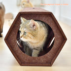 Tunnel de jeu en feutre – chat