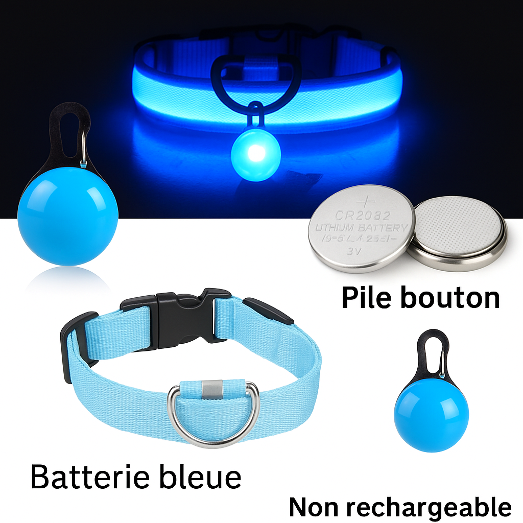 Collier lumineux LED pour chien