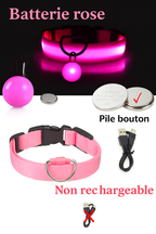 Collier lumineux LED pour chien