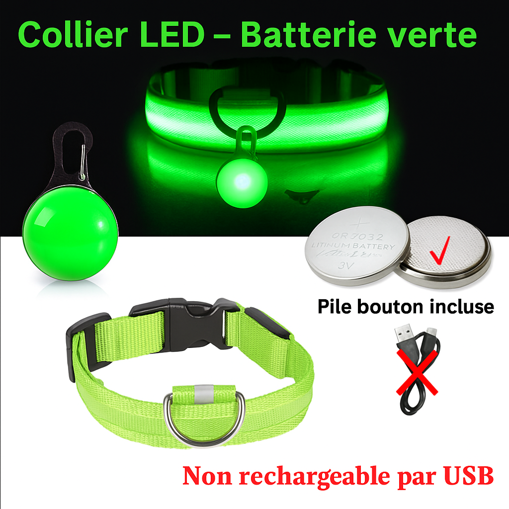 Collier lumineux LED pour chien