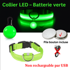 Collier lumineux LED pour chien