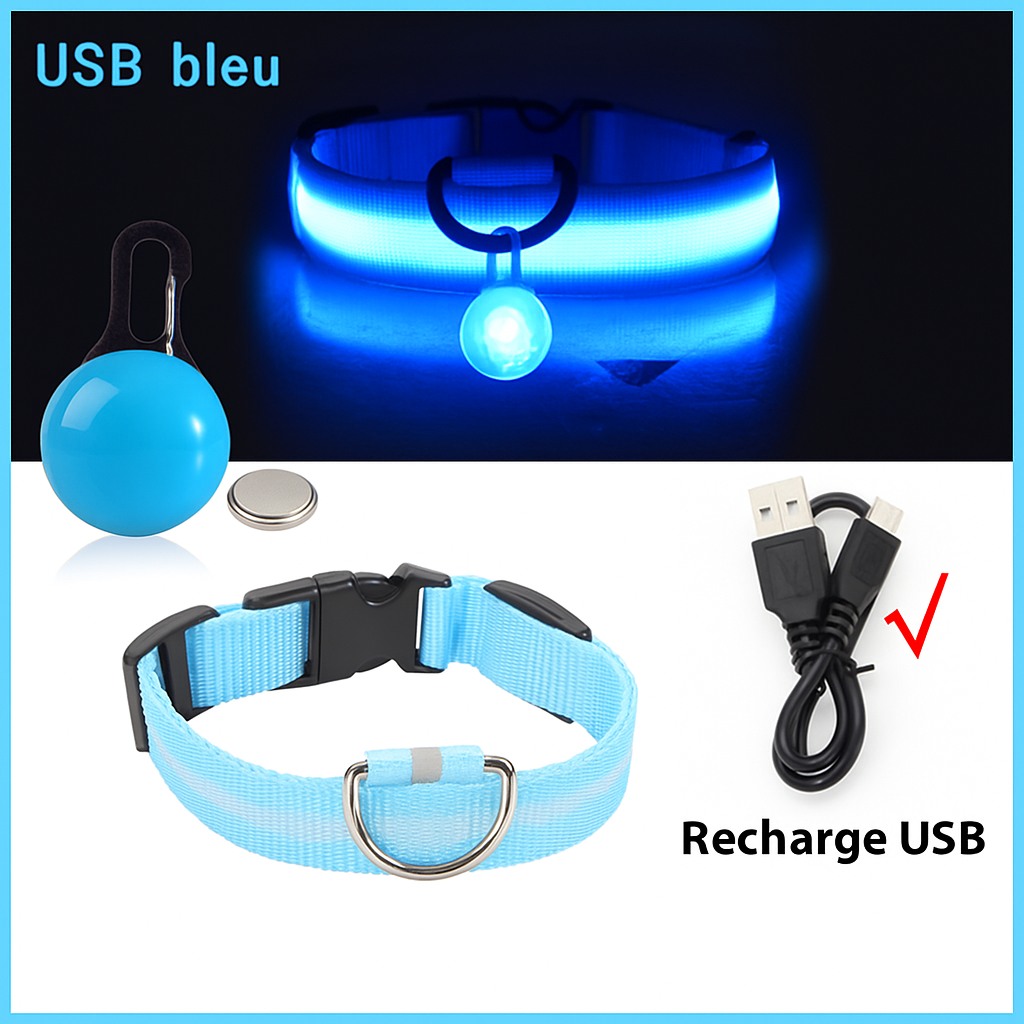 Collier lumineux LED pour chien