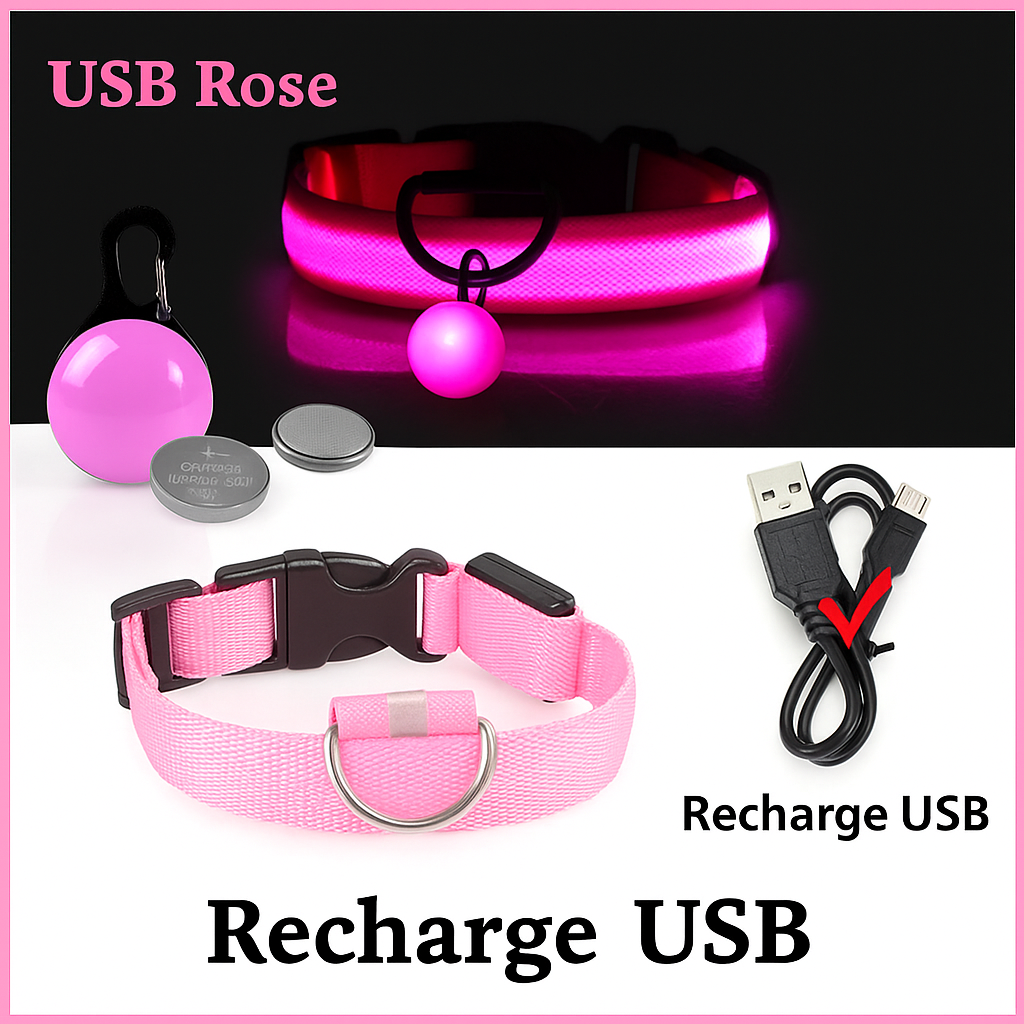 Collier lumineux LED pour chien