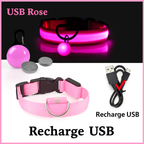 Collier lumineux LED pour chien