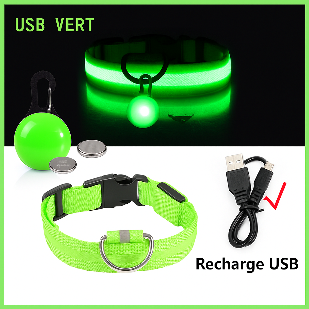Collier lumineux LED pour chien