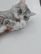 Bâton carotte sonore pour chat