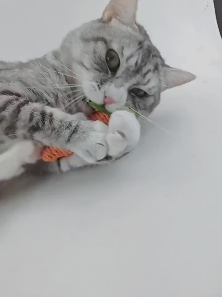 Bâton carotte sonore pour chat