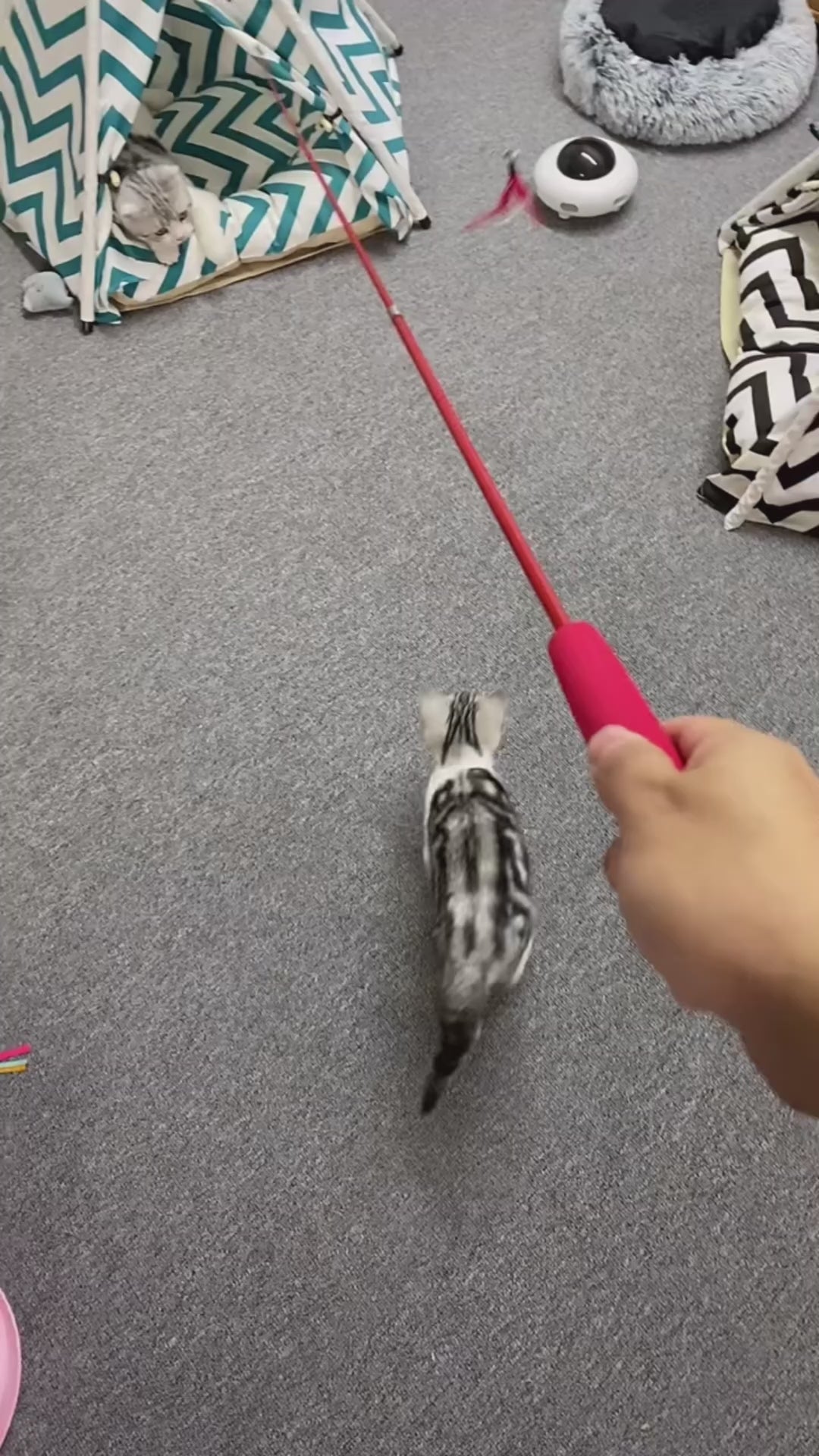 Baguette teaser télescopique pour chat