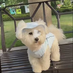 Gilet rafraîchissant avec casquette - chien ou chat