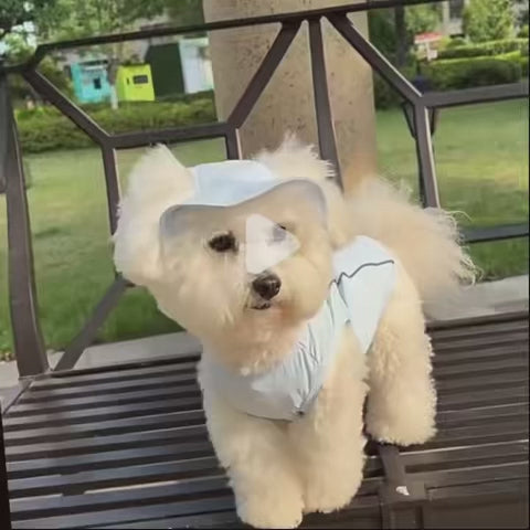 Gilet rafraîchissant avec casquette - chien ou chat
