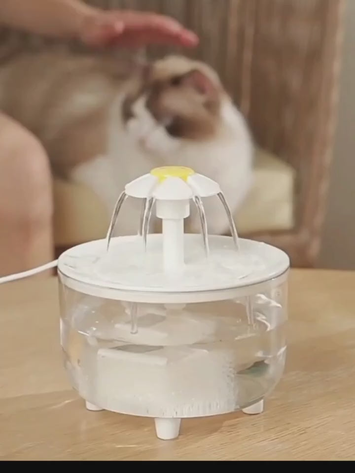 Fontaine USB 1L - chat et petit chien