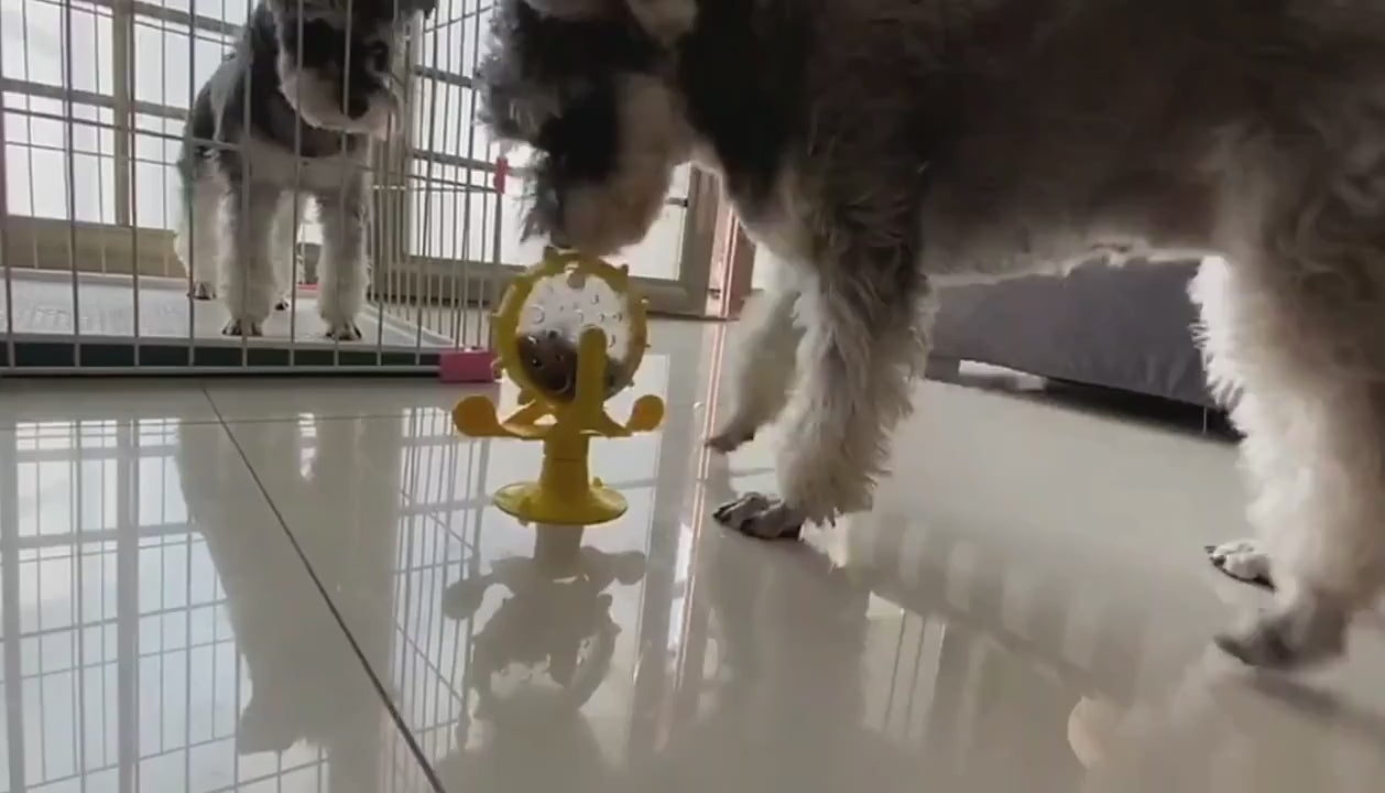 Jouet éducatif à friandises pour chat et chien