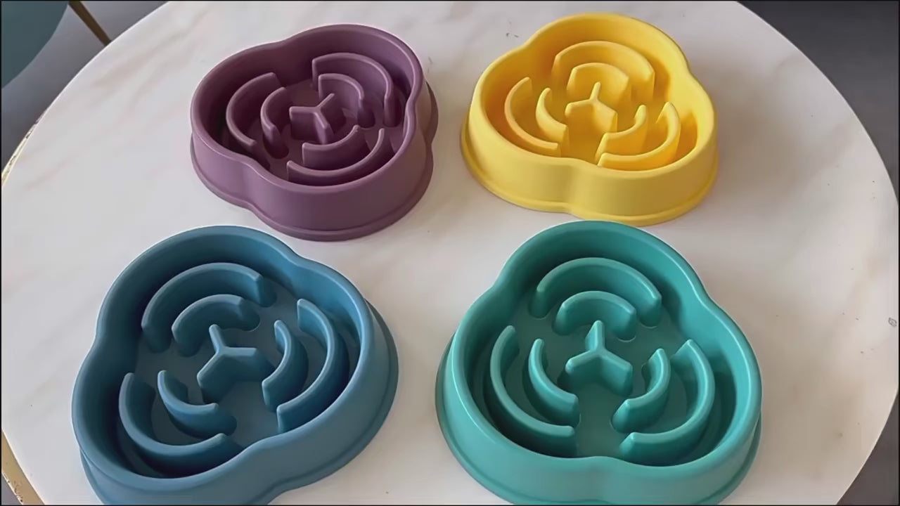 Bol anti-glouton pour chien