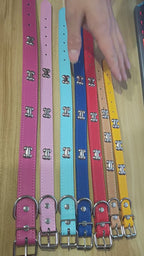 Collier en cuir motif os pour chien & chiot