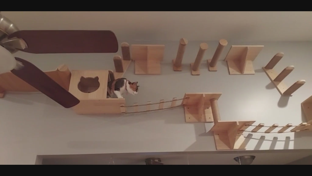 Arbre à Chat Mural en Bois