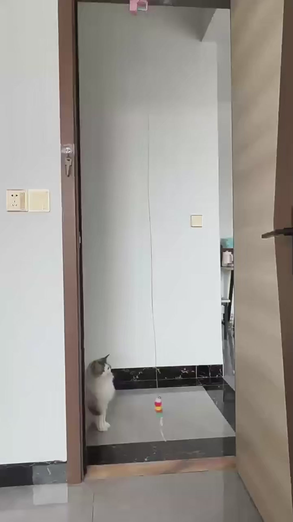 Jouet interactif électrique suspendu pour chat