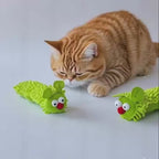 Jouet à mâcher à l’herbe-aux-chats - chat