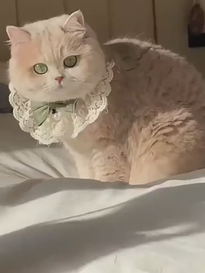 Collier en perles de soie pour chat