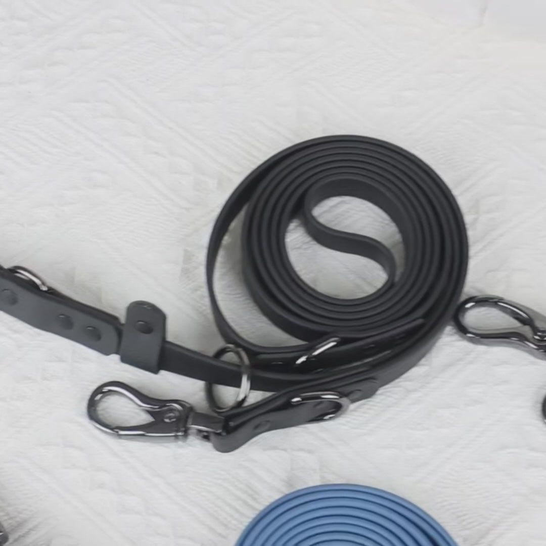 Laisse pour chien multifonctionnelle imperméable avec double tête