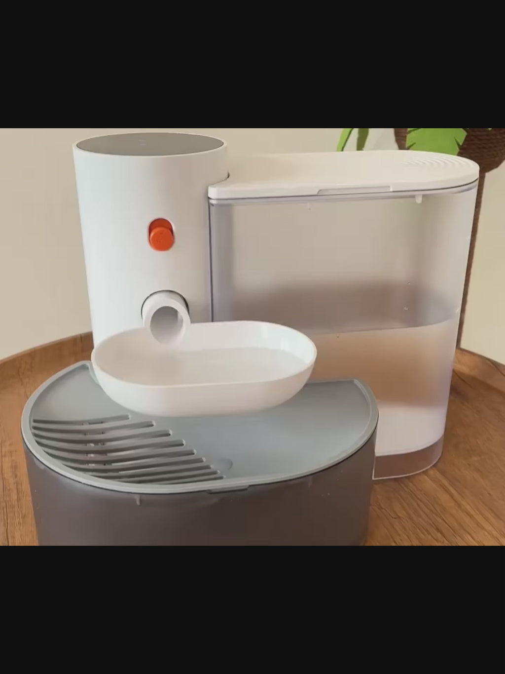 Fontaine d’eau autonettoyante 3 L pour chat