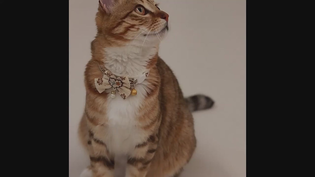 Collier Chat Nœud Papillon Dentelle & Clochette