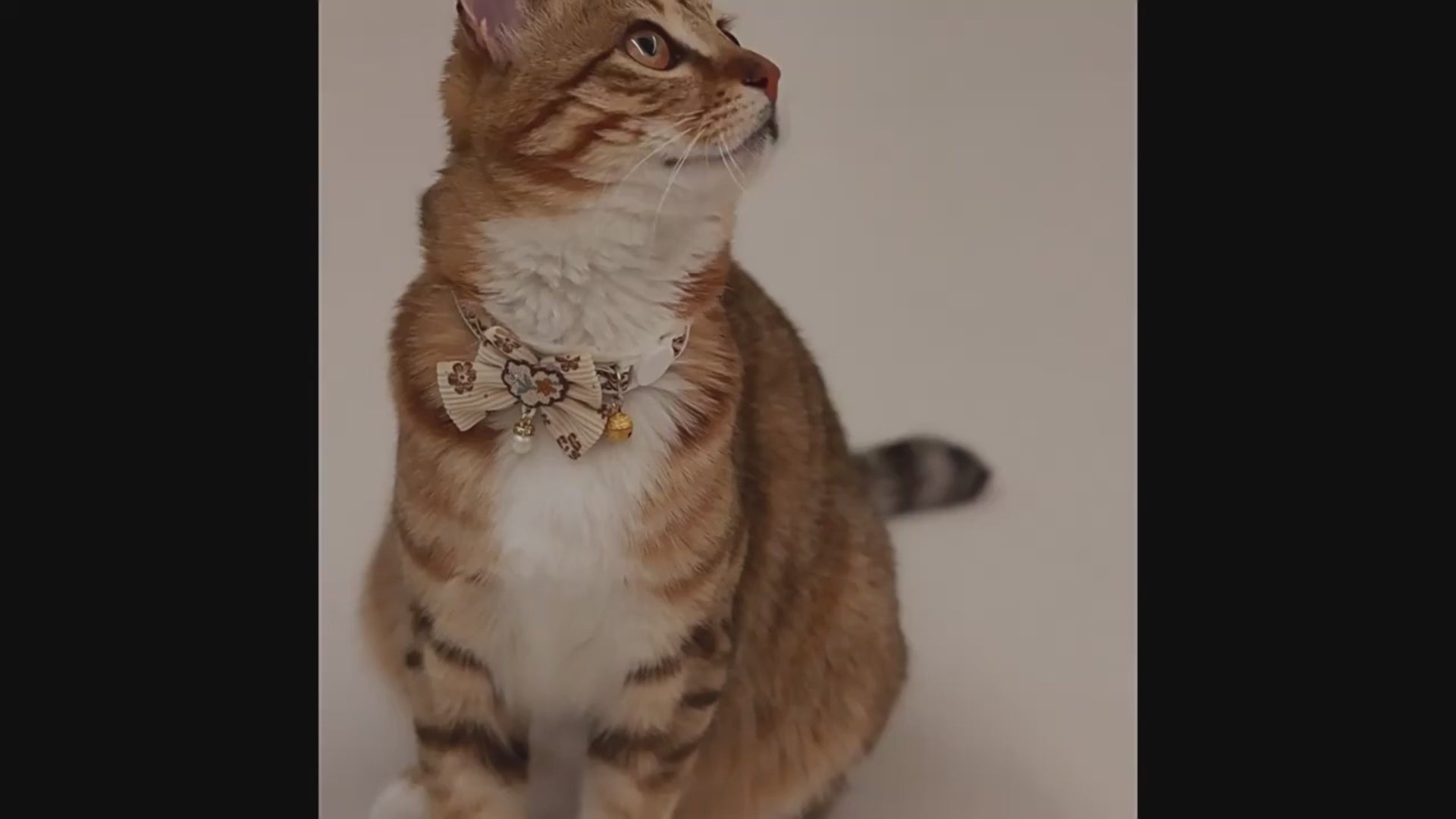 Collier Chat Nœud Papillon Dentelle & Clochette