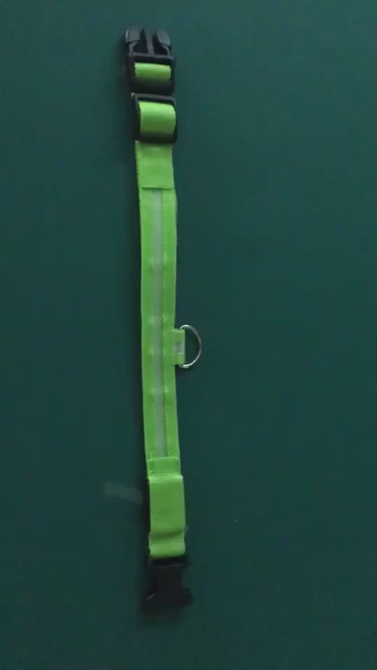 Collier lumineux LED pour chien