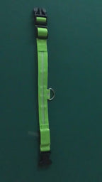 Collier lumineux LED pour chien
