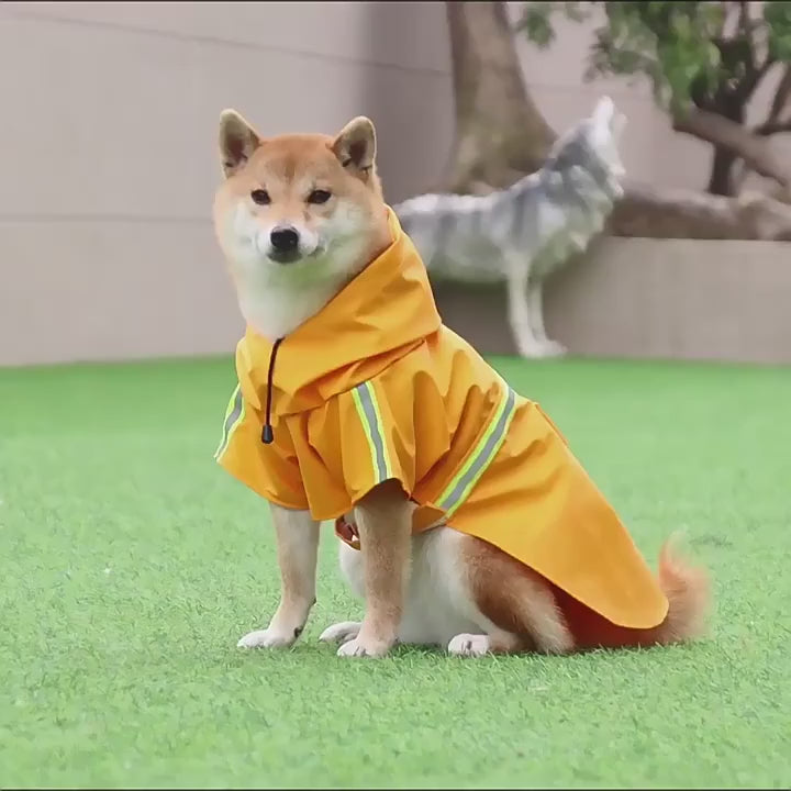 Imperméable à capuche pour grand chien
