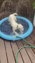 Piscine à jets d’eau pour chiens et chats