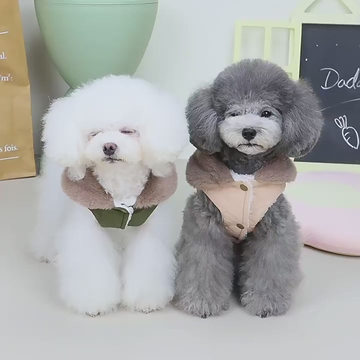 Veste Polaire Chaude pour Chien et Chat