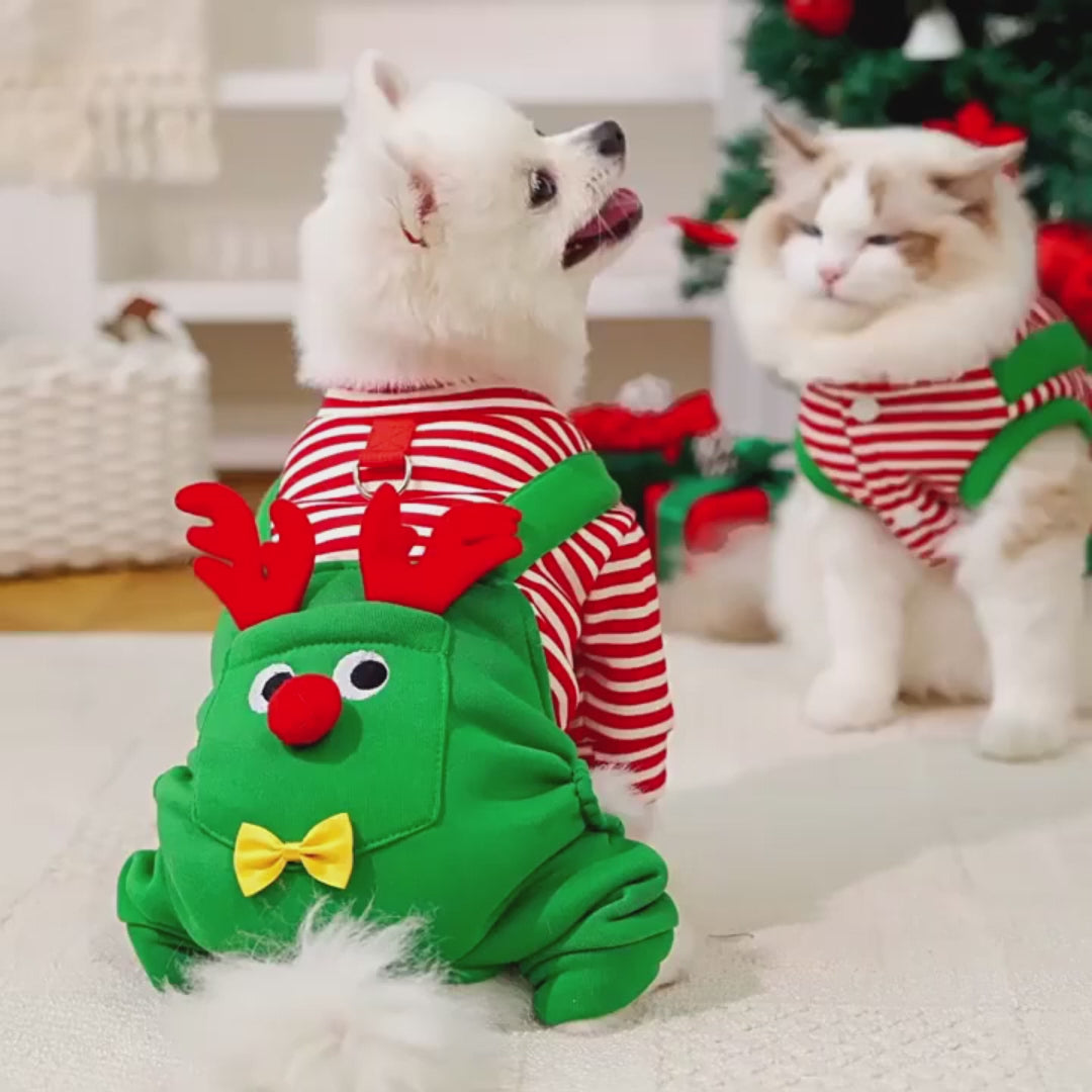 Pyjama de Noël pour chien & chat