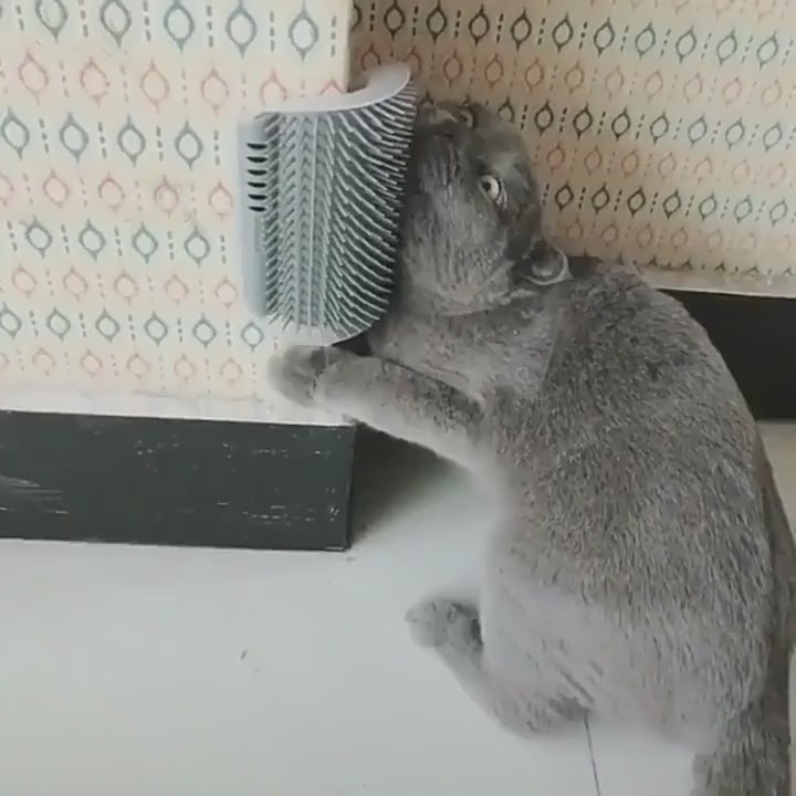 Brosse murale auto-toilettage pour chat