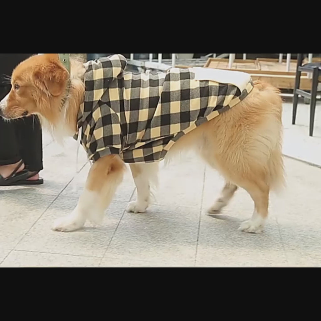 Sweat-shirt à capuche à carreaux - chien ou chat