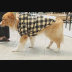 Sweat-shirt à capuche à carreaux - chien ou chat