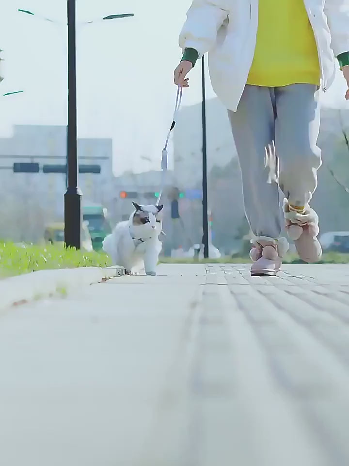 Harnais réglable avec laisse - chat