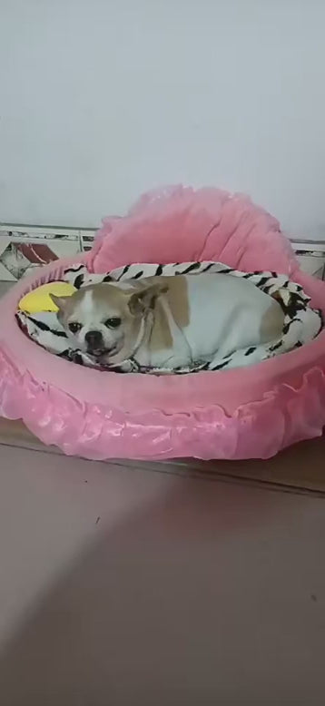 Lit pour chien et chat style princesse en dentelle